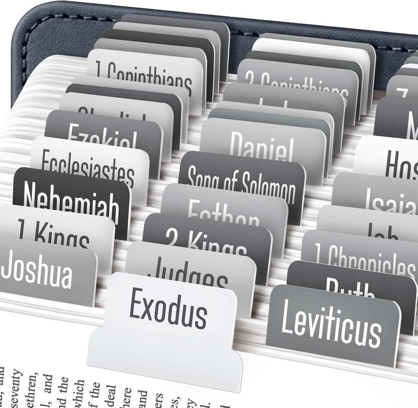 EssexWares Black Bible Tabs – 80 Large Print, Durable & Water-Resistant