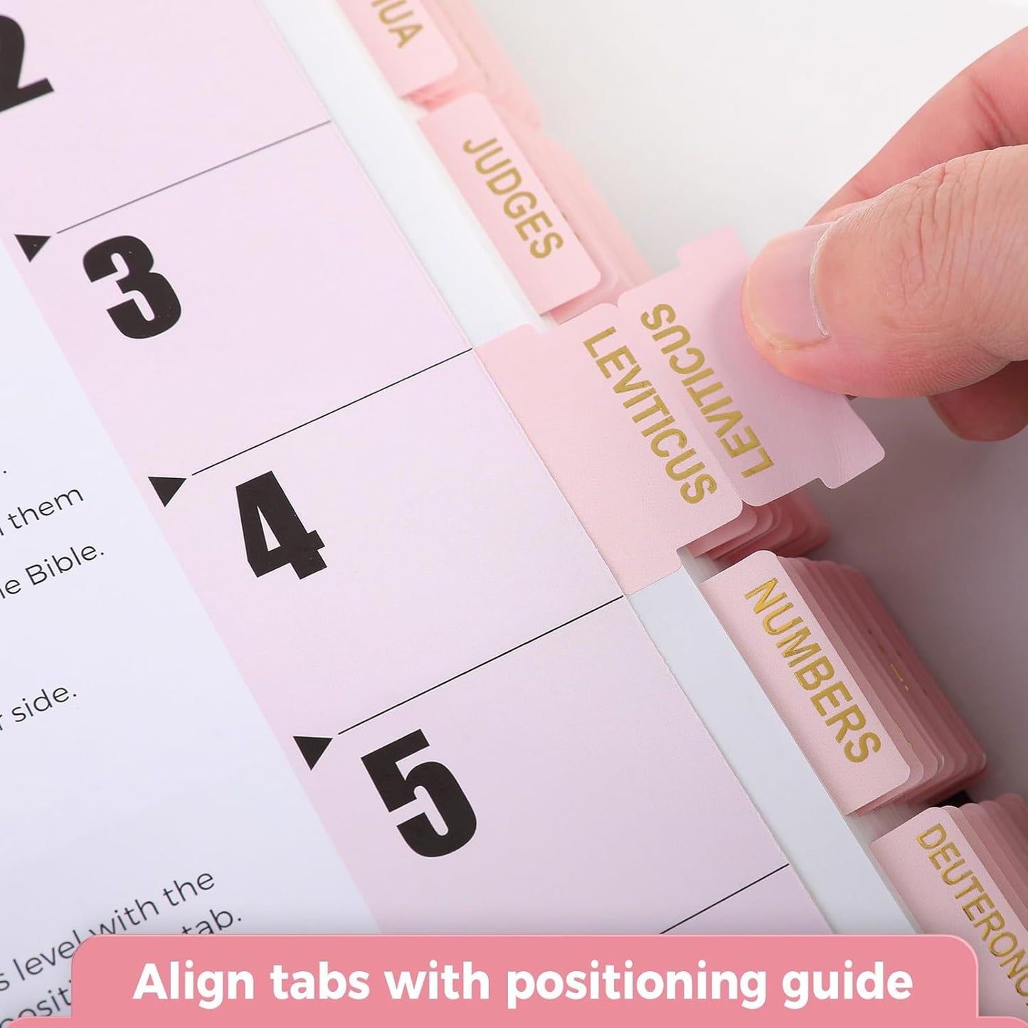 Elegant Bible Tabs for Women