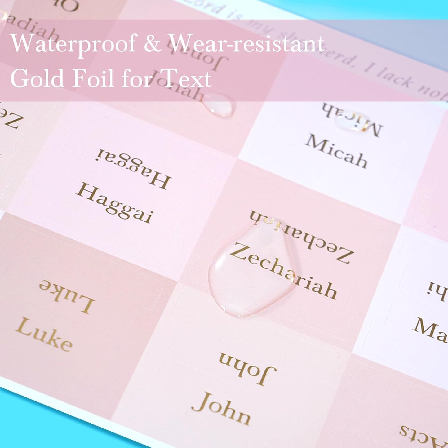 Elegant Pink Bible Tabs