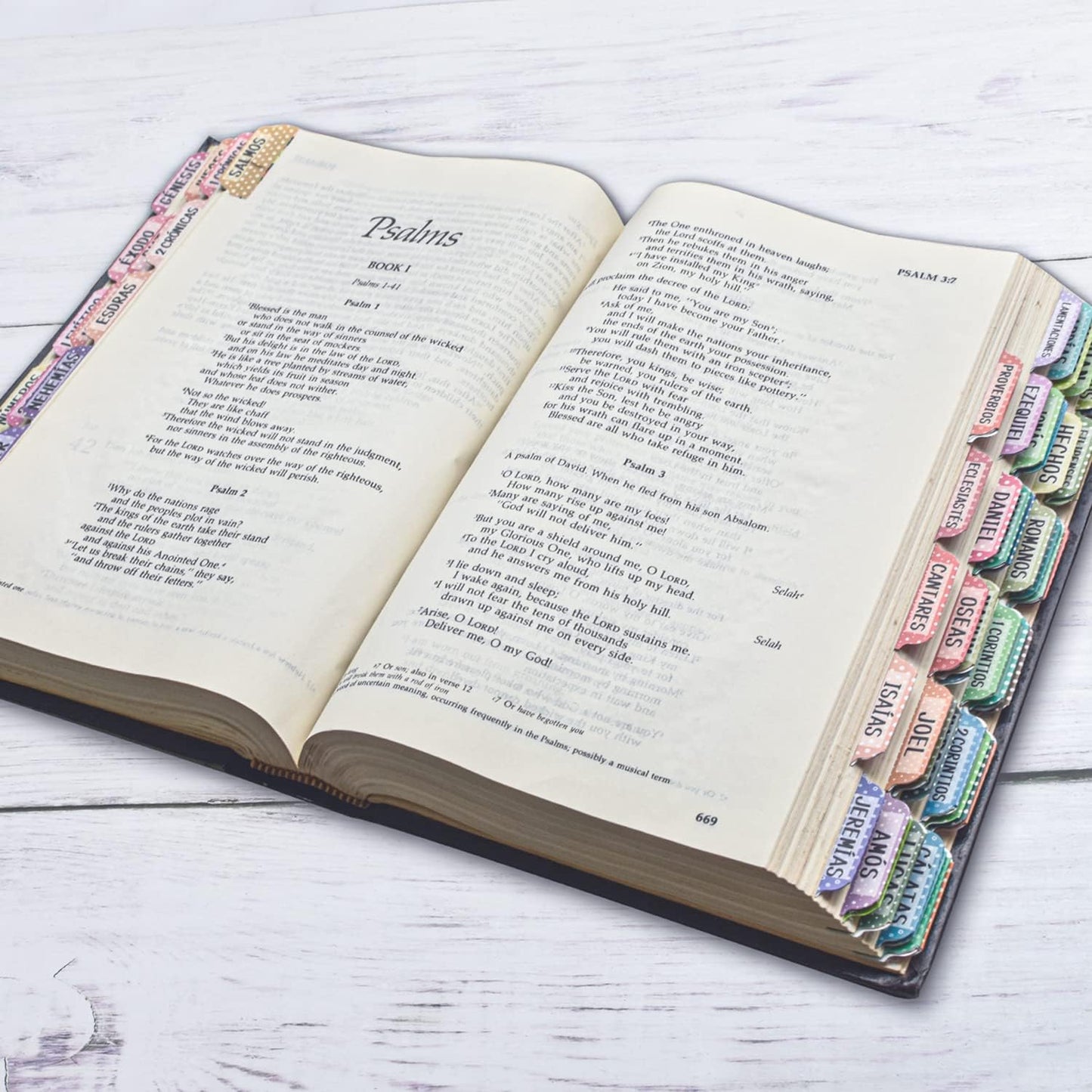 Spanish Bible Tabs Floral Matte – 122pcs Old & New Testament Index Stickers for Bible Journaling