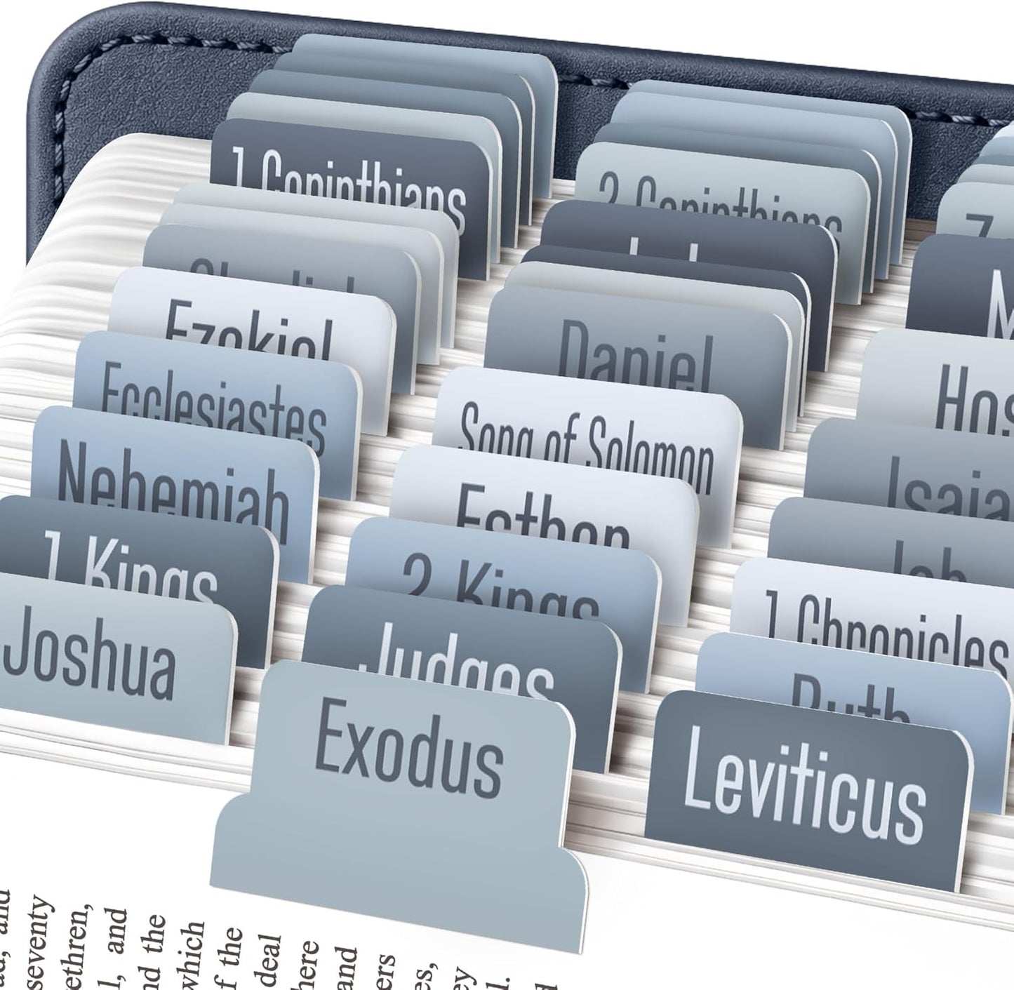 EssexWares Black Bible Tabs – 80 Large Print, Durable & Water-Resistant