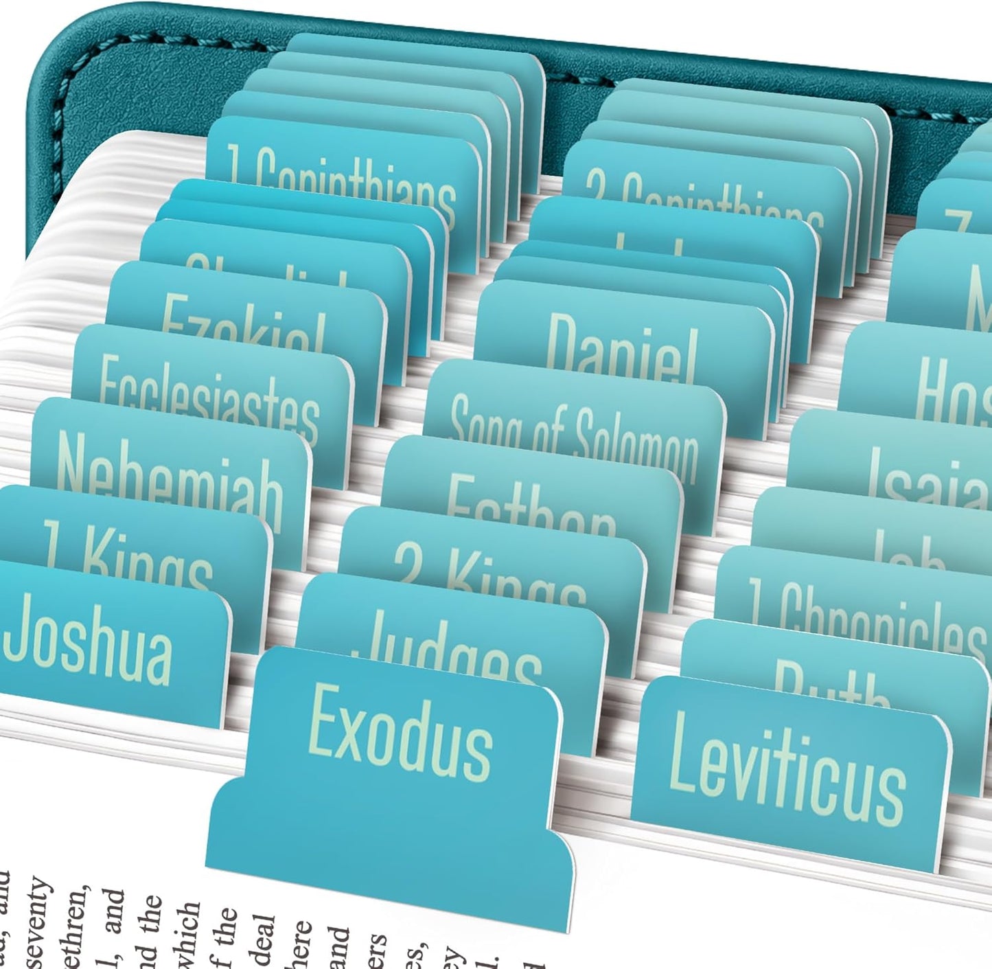 EssexWares Black Bible Tabs – 80 Large Print, Durable & Water-Resistant