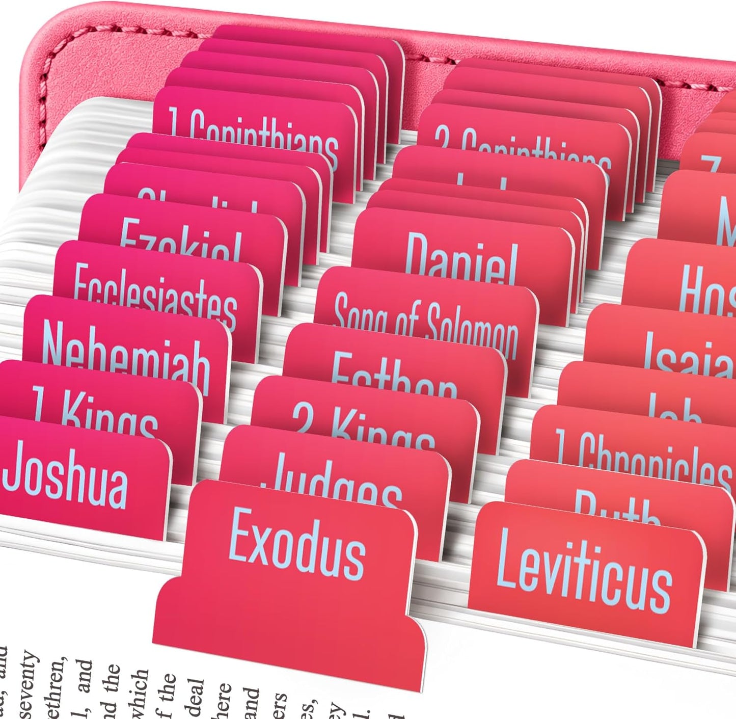 EssexWares Black Bible Tabs – 80 Large Print, Durable & Water-Resistant