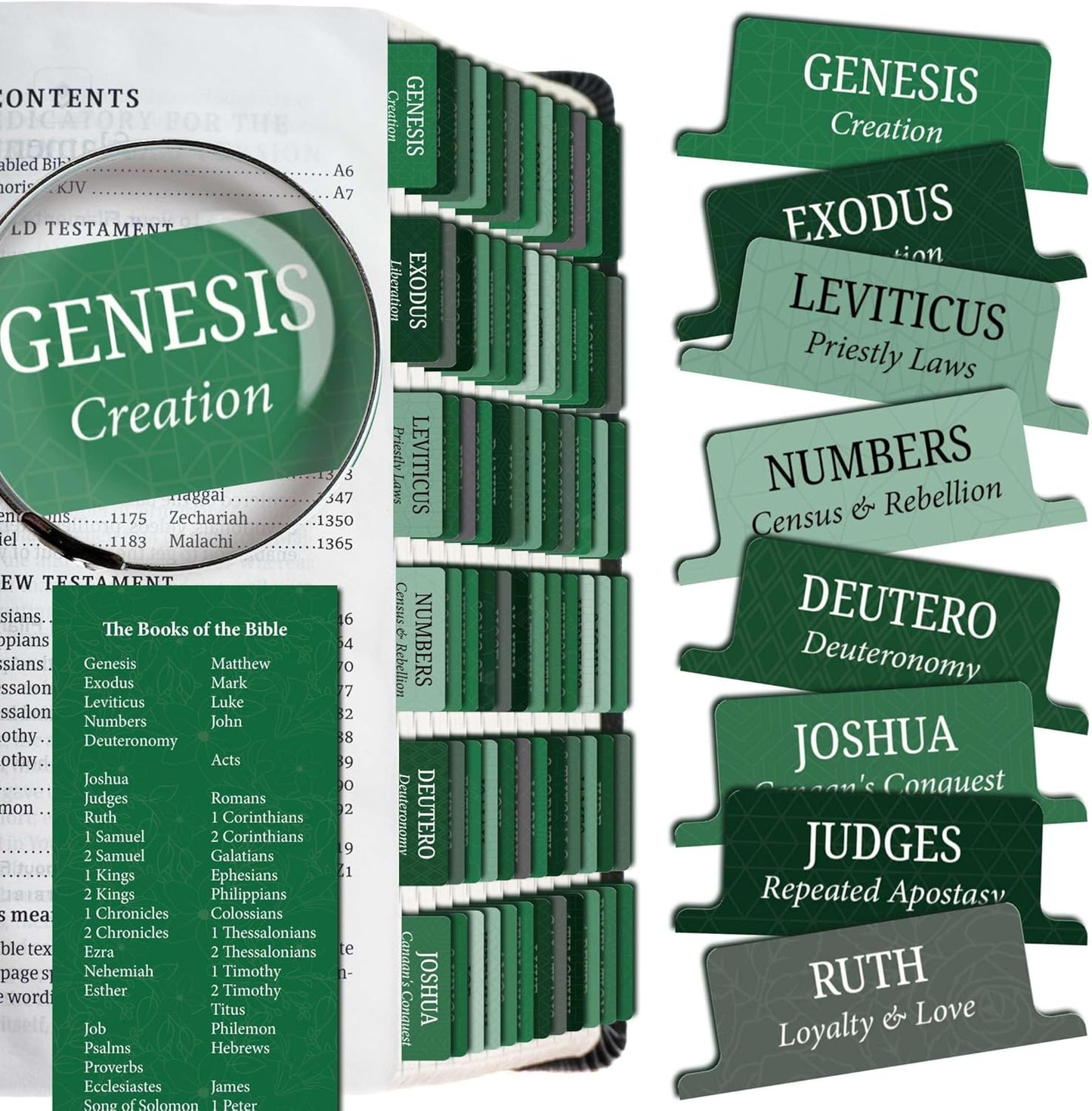 Premium Bible Tabs Tear Resistant – Laminated, Easy Apply, Old & New Testament